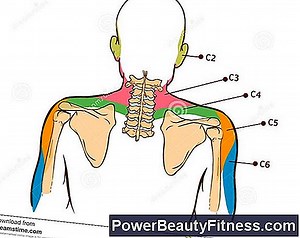 Exercices Hernie C6 Et C7 💪💪 Tout À Propos Des Modes De Vie Sains Et De Remise En Forme - 2025