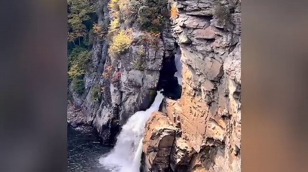 5.1K views · 452 reactions | I love fall so much!!! Its beauty is amazing. Wish it could last longer. | Cindy Farmer FOX 8 | Facebook