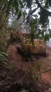 วิธีเอาไม้ขึ้นรถ How to load wood onto a truck.