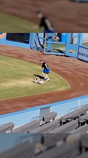[Heartwarming] A brief respite! Shohei Ohtani and his dog Decoy enjoy a relaxing time