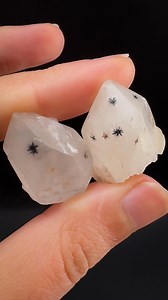 Hollandite Quartz has been re-stocked just in time for Halloween! 🕷️🖤 #crystals #gemstones #minerals #spooky | Spirit Nectar