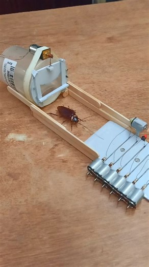 Science & Engineering on Instagram: "Cockroach trap with real cockroach #engineering #electronics #trap #viral #experiment #cockroach"