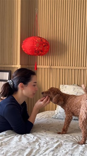 Özlem Üçel on Instagram: "Duvar profilimizi @kastamonuentegre ile yeniledik ne diyosunuz😌 Biz tasarımına ve malzeme kalitesine bayıldık🙌🏻 Seçtiğimiz serinin adı: Trian, üst tarafta A, alt tarafta B modelini kullandık Renk: Kehribar meşe #işbirliği"