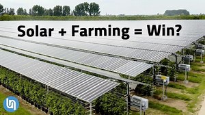 Solar Panels Plus Farming? Agrivoltaics Explained – Lifeboat News: The Blog