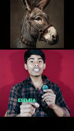 woolf vs donki 🥷(life lesone)