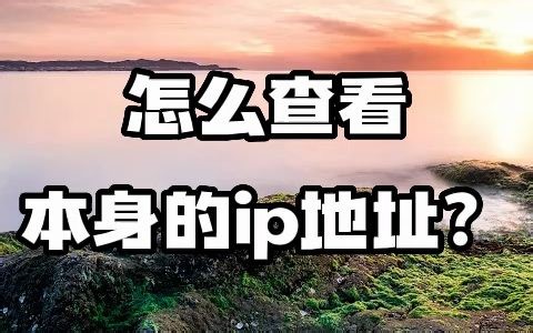 #IP地址 #IP定位 #IP归属地 怎么查看本身的IP地址？