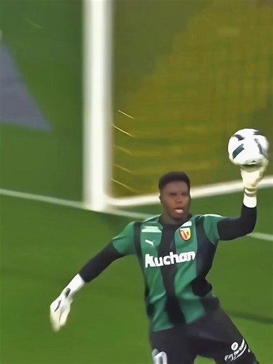 Incredible Goalkeeper Saves Compilation