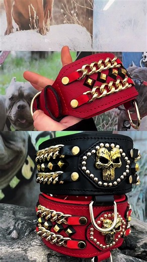 “Everyone makes dog collars… we create character.” 🔥 This isn’t just a collar. This is power, craftsmanship and attitude in leather. Handmade extreme dog collar with Punisher design. Built for strong breeds like Cane Corso, Rottweiler, Kangal, Doberman, Belgian Malinois and German Shepherd (K9). Premium leather. Extreme presence. Unmistakable style. ⚡ Handmade in our workshop 🚀 UPS Express shipping worldwide (2-3 days) 🌐 Website: acdogcollars.com 📲 WhatsApp: 905362012233