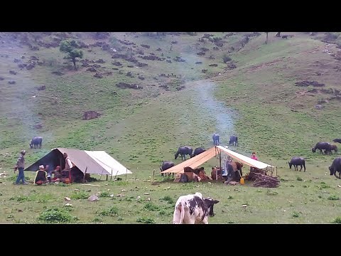 Organic Nepali Mountain Village Life in Nepal । Most Peaceful & Relaxation Village Life in Rain Time