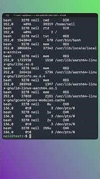 List open files and remote sessions using lsof - Useful Linux Tools