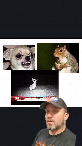 Deer Hunting: Tips and Tricks for Success