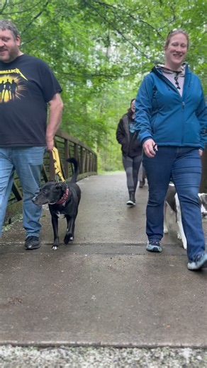 17 reactions | Success comes in many flavors… What to do when moving...