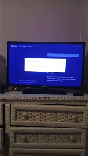 roku settings system language software update
