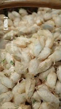 Traditional Silk Weaving | Handcrafted Non-Heritage Art Popular in Japan & Korea#traditionalcrafts