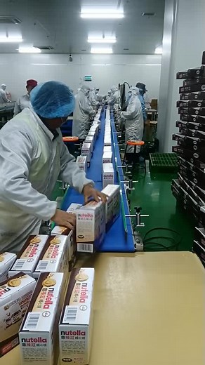 Customized Conveyor Systems for Efficient Processing