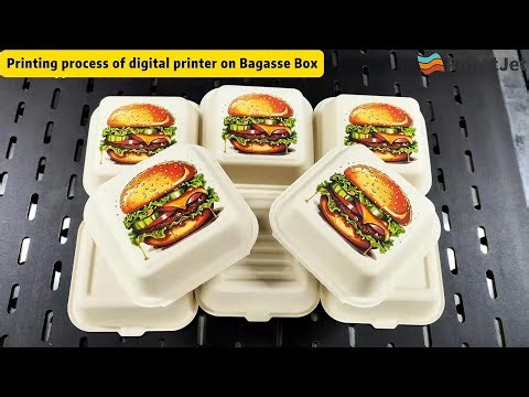 Digital Printer on Bagasse Boxes