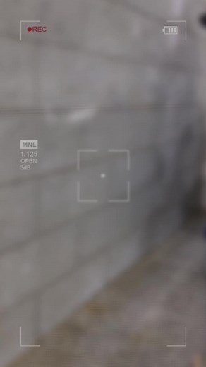 حركة لاكسبلور: اجذب الأنظار بأسلوبك