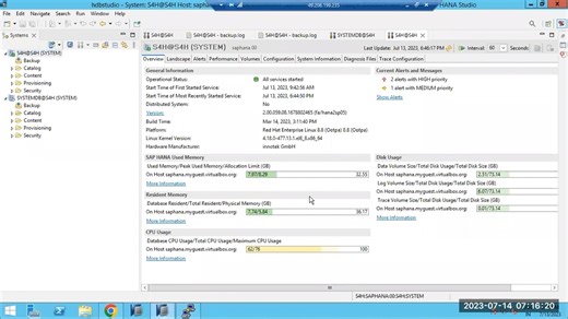 SAP HANA MEMORY MANAGEMENT & REPLICATION PRE-STEPS