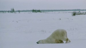 1.6K views · 17K reactions | Monday. | Cosmopolitan | Facebook