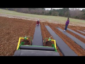 Laying plastic Mulch