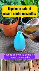 36K views · 401 reactions | How-tos 1. Cómo hacer repelente natural...