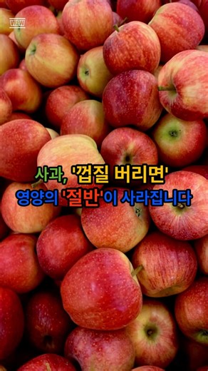 많은 분들이 놓치는 사과의 '핵심' #시니어 #시니어건강 #시니어건강팁 #시니어건강관리 #시니어식습관 #건강식습관 #시니어건강정보 #중년건강 #50대건강 #60대건강