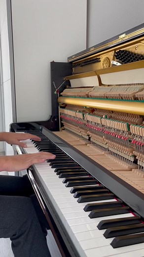 masterpiece 🥀🤍 #piano #calm #experience