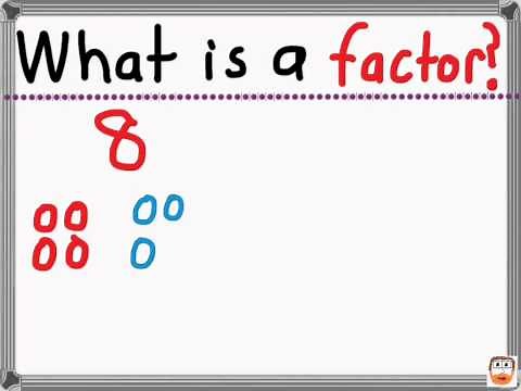 What is a factor?