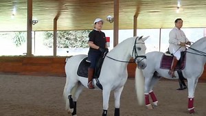 2.3K views · 127 reactions | Kuda Dan Rias Belepotan Politisi Kita...