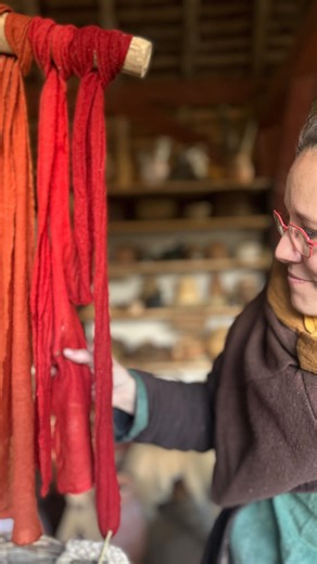 Guédelon on Instagram: "A l’entrée de Guédelon, une plante s’étale humblement en été. Ses tiges couchées, ses feuilles coriaces et ses petites fleurs jaunâtres ne font d’elle qu’une plante banale, de celles qui ont du mal à se faire distinguer des « mauvaises herbes ». Pourtant, loin de nos yeux, ses racines et rhizomes cachent une couleur précieuse. Séchés, nettoyés puis réduits en poudre, ils permettent de teindre depuis l’Antiquité les lainages d’un rouge solide, beau et vif. « La garance des