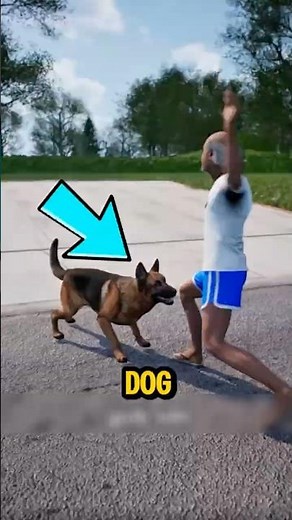 What to Do If a Dog Runs Toward You (Most People Get This Wrong!)