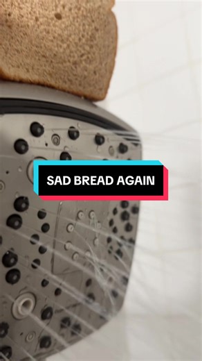 Sad bread, again. @Bread #bread #fyp