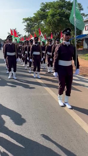 Ceremonial March with National Flags in Uniform