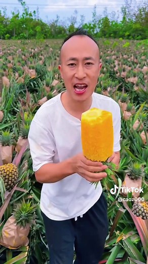 USA Fruits: Discover a Variety of Produce