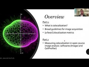 Exploring and Understanding Colocalization Metrics