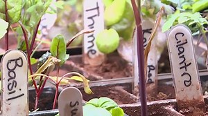 Harding University STEM program with NASA ahead of upcoming eclipse