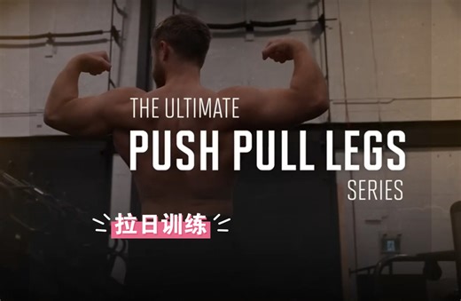 【Jeff Nippard】终极PPL训练计划拉日训练 （简介自取训练计划）