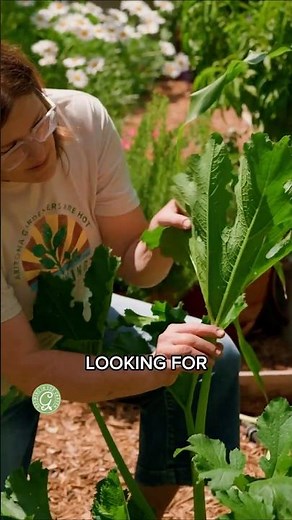 Stop Pests Early With This Simple Habit