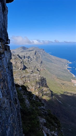Frog symphony on Table Mountain 🐸😍 | Climb ZA - Rock Climbing South Africa