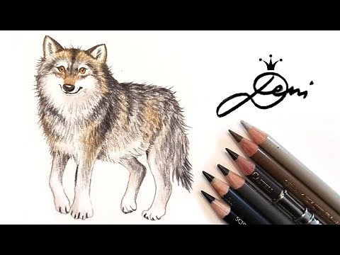 🐺 Wolf zeichnen lernen 🐺 Wolfzeichnung 🐺 How to draw a Wolf? 🐺 Kак се рисува вълк?