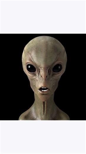 Starlink, Toothpaste & Alien A Thank You to My Followers