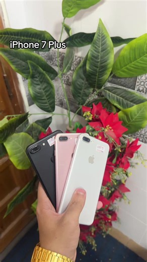 iPhone 7 Plus available new - Mobile4U Backup