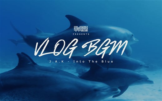 [VLOG必备BGM] J.A.K - Into The Blue 背景音乐 免费版权 内附下载 碧蓝之海 潜水 海豚