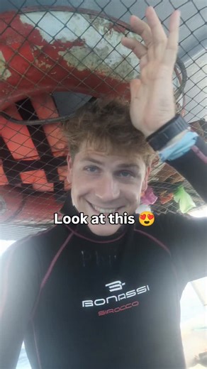 Philipp Rosel on Instagram: "The bullshark season is from November until February here in Playa del Carmen México 😍 Come and dive with me here with the bullsharks, cenotes or in Cozumel :) Want to join one of my dive trips? 🌎🤿 🌎 2026 Trip Schedule 🇲🇽 Mexico – Daily Diving (Sep 2025–Apr 2026) Playa del Carmen • Cozumel • Cenotes 2nd biggest reef • bull sharks • jungle pools • wrecks Join anyday for individual diving! Dm me for more info --- 🇲🇻 Maldives – Dhigurah (Local Island) April 7–11