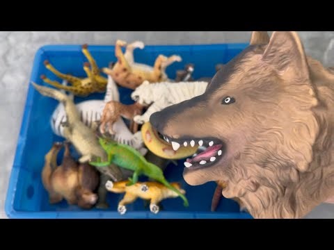 Wild Animal Toys for Kids – Fun Toy Collection & Facts! 🦒🦁🌿