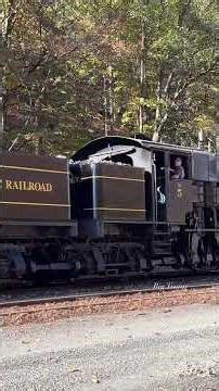 Listen to how quiet this Shay steam locomotive run