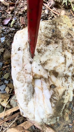 Gold Prospecting for Beginners in 2026