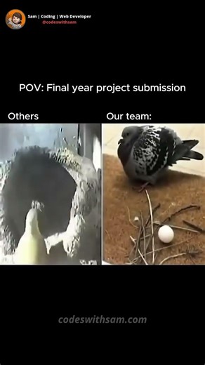 Final Year Project Submission