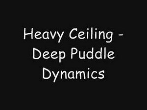 Deep Puddle Dynamics - Heavy Ceiling