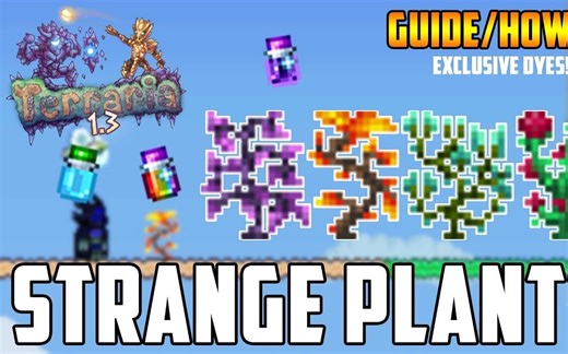 [Terraria] 奇异植物处理指南 - 怎样得到特殊染料!